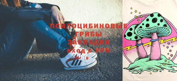 бошки Переславль-Залесский