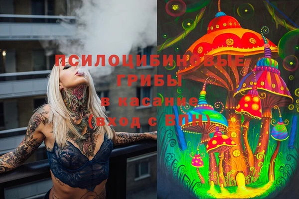 бошки Переславль-Залесский