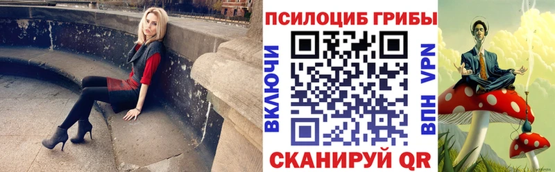 Галлюциногенные грибы Psilocybine cubensis  дарнет шоп  Волоколамск 