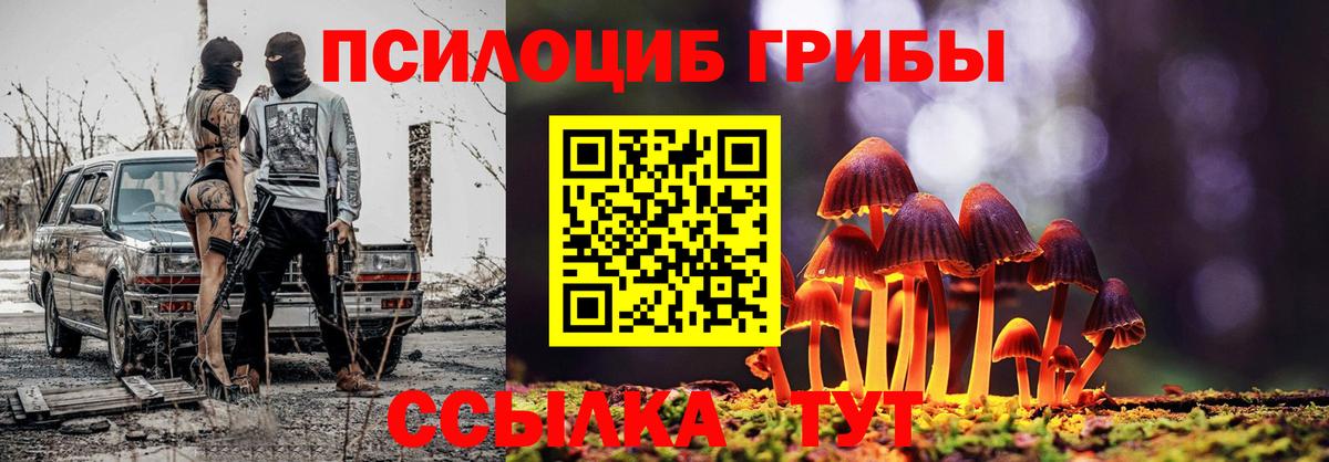 Псилоцибиновые грибы Psilocybe  Вход с VPN  Волоколамск 